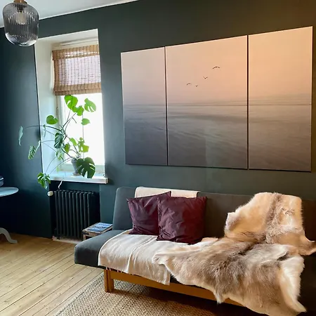 Sielukas Asunto Funkistalossa Karkkila